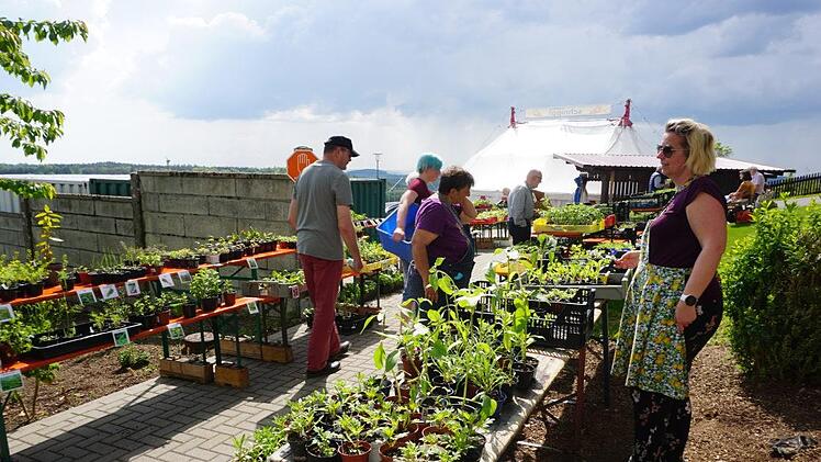 Die Pflanzenbörse war ein Publikumsmagnet beim Tag der Nachhaltigkeit am  Volkersberg. Marion Eckert