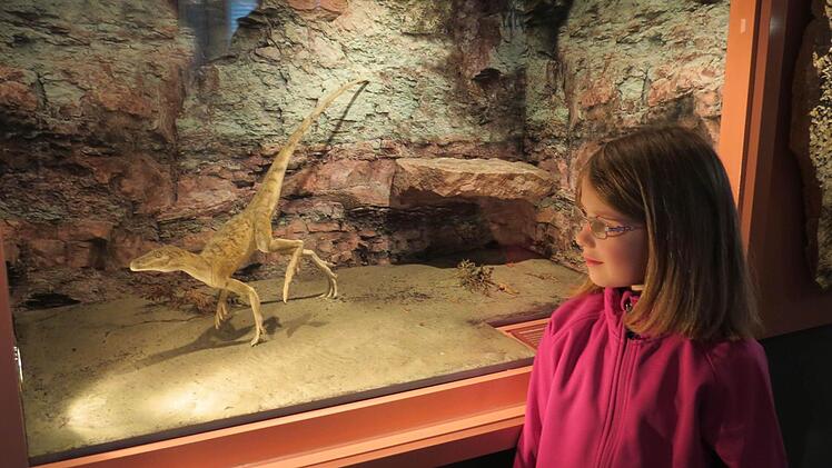Lena interessierte sich im neu eröffneten Museum "Terra Triassica" in Euerdorf besonders für die Dinosaurier. Fotos: Doris Bauer