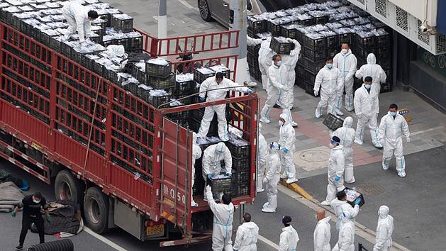 Der härteste Lockdown der Welt: Isolation und Hunger - Shanghai seit zwei Wochen eingesperrt