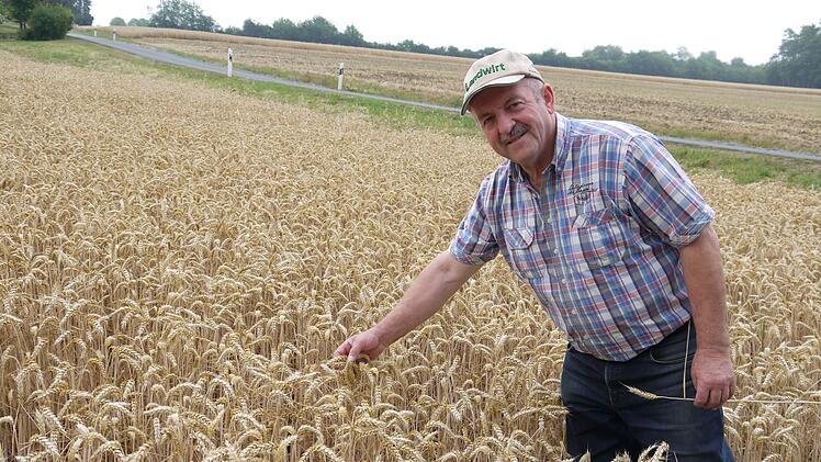 Wilfried L&ouml;winger begutachtet das Getreide auf seinem Acker bei Harsdorf. Foto: Rebecca Vogt