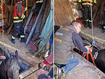 Die Feuerwehr befreite Stute Walburga aus ihrer misslichen Lage