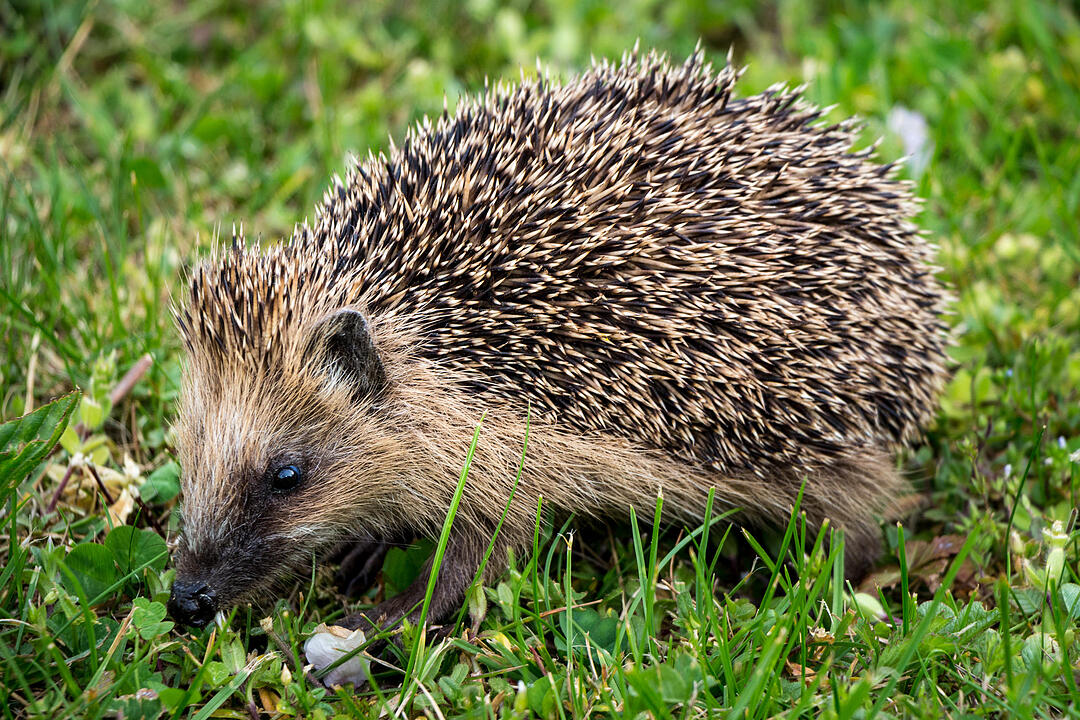 Fotos Konrad Thomann