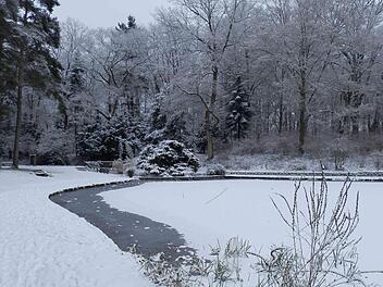 Wie steht es um die Bamberger Eisfl&auml;chen? Stadt zum aktuellen Stand