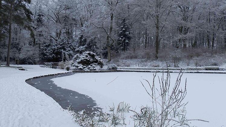Der Hainweiher in Bamberg: Noch ist die Eisfl&auml;che hier und auf den anderen Bamberger Weihern nicht tragf&auml;hig. Die Stadt warnt: Es besteht Lebensgefahr! Foto: Gartenamt/Gerencser