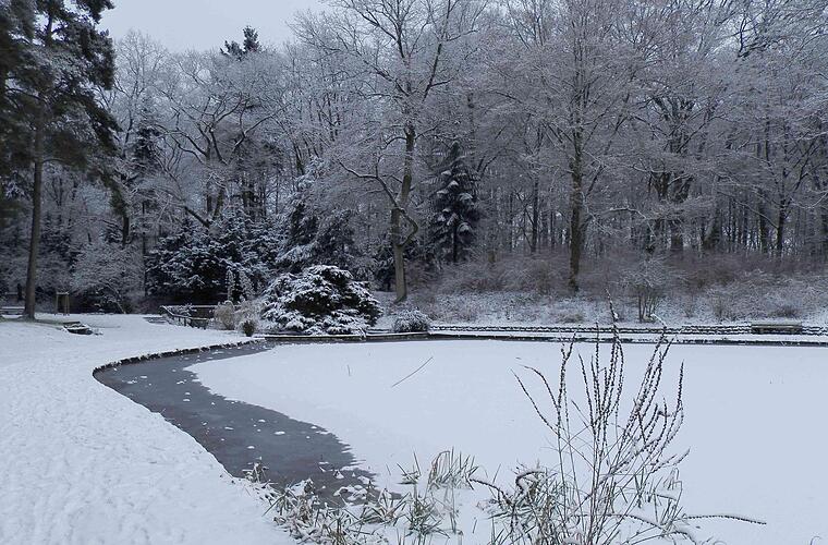Wie steht es um die Bamberger Eisflächen? Stadt zum aktuellen Stand