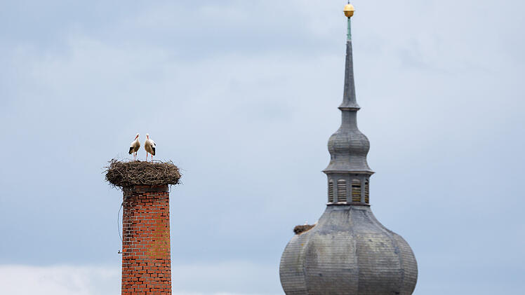 Storchendorf Uehlfeld