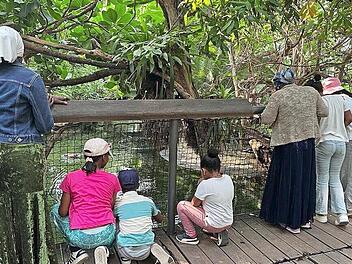 Ausflug in den Tiergarten.