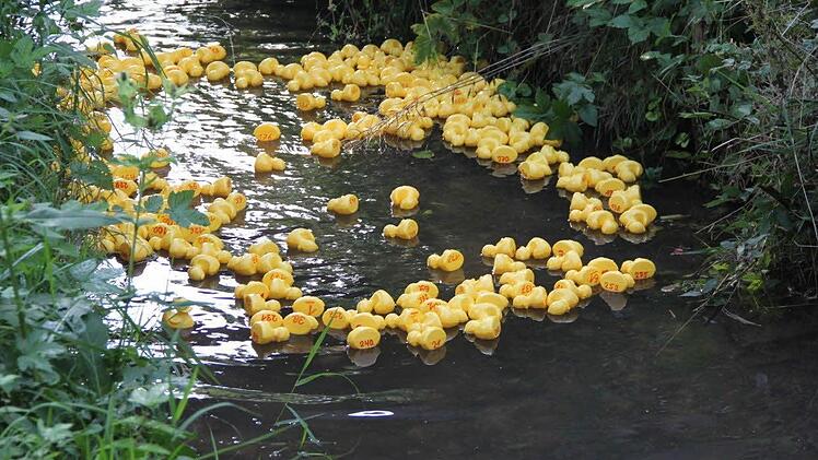 Kopf-an-Kopf-Rennen.Foto: Helmut Will