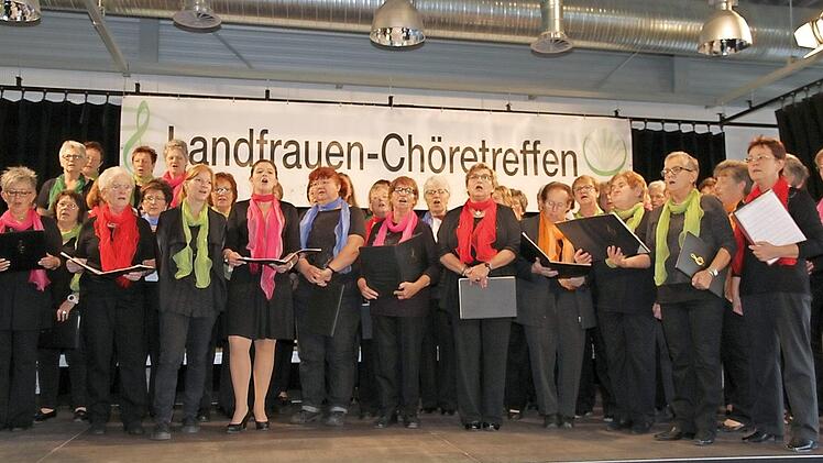 Chöretreffen Landfrauen: Der Landfrauenchor des Landkreises Forchheim bei der musikalischen Begrüßung  Foto: Mathias Erlwein
