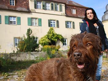 Glückliches Ende: Da er nirgendwo anders erwünscht war, bewacht der zwölfjährige Hütehund Benji nun das Fröhstockheimer Schloss. Sein Frauchen Ute Weis hatte zuvor monatelang vergebens eine Wohnung gesucht.  Fotos: Diana Fuchs