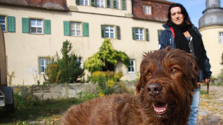 Glückliches Ende: Da er nirgendwo anders erwünscht war, bewacht der zwölfjährige Hütehund Benji nun das Fröhstockheimer Schloss. Sein Frauchen Ute Weis hatte zuvor monatelang vergebens eine Wohnung gesucht.  Fotos: Diana Fuchs