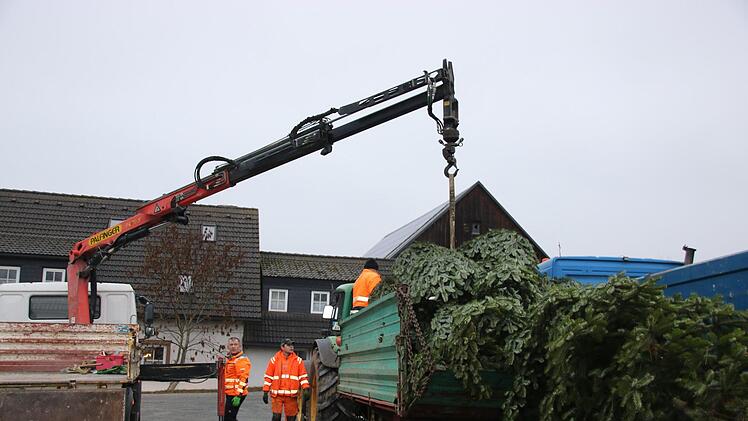 Auf dem Hof der Firma Vogler wird der Baum vom Hänger auf den Lkw des Bauhof-Lasters gehoben. Foto: Katrin Geyer