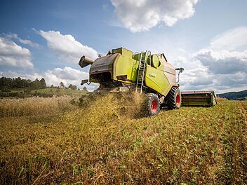 Landwirtschaft - Die Positionen von CSU, Grünen, Freien Wählern, AfD und Co.
