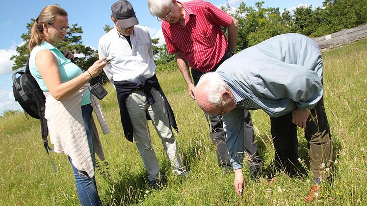 Elmar Dippold nimmt an der Absturzstelle eine Bodenprobe. Adelheid Waschka, Otto Harnier und Axel Harnier (von links) prüfen, ob noch Ölgeruch festzustellen ist. Die Erde riecht nach - Erde, nicht nach Öl.  Foto: Matthias Einwag