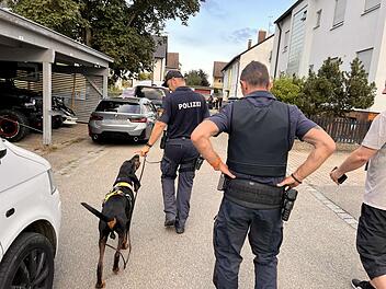 Nach Leichenfund in Fürth: Verdächtiger festgenommen Nach Leichenfund in Fürth: Verdächtiger festgenommen