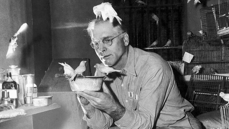Robert Franklin Stroud (Burt Lancaster) in seiner Gef&auml;ngniszelle, wo er viele V&ouml;gel h&auml;lt: Das Studium ihres Verhaltens wird zu seiner neuen Lebensaufgabe.