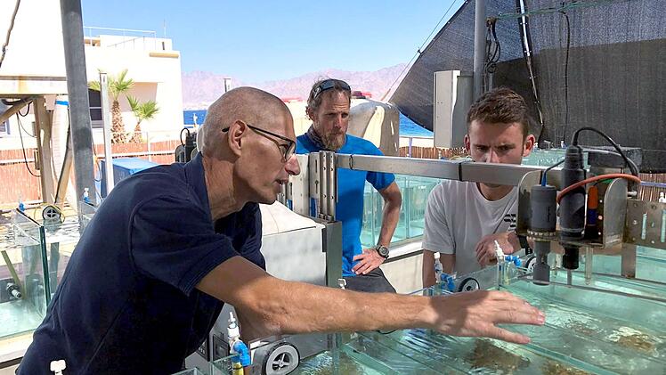 Wissenschaftler untersuchen, welche Auswirkungen h&ouml;here Wassertemperaturen auf die Weltmeere und ihre Bewohner haben. Daf&uuml;r forschen sie auch in der Vergangenheit.