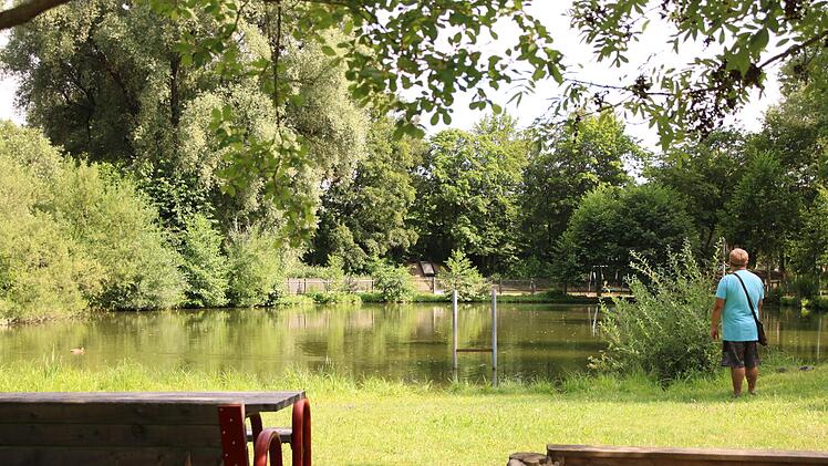 Eine mindestens zehn Meter hohe Fontäne im Teich auf der Untersteinacher Peuntwiese zu errichten, war eine Idee von Gemeinderat Markus Weigel, um den Teich attraktiver zu gestalten und die Wasserqualität zu verbessern. Der Antrag wurde vorerst aufgeschoben.Klaus Klaschka