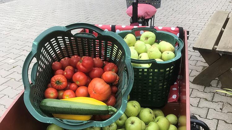 Landkreis Bad Kissingen bietet kostenloses Probefahren von Lastenr&auml;dern an