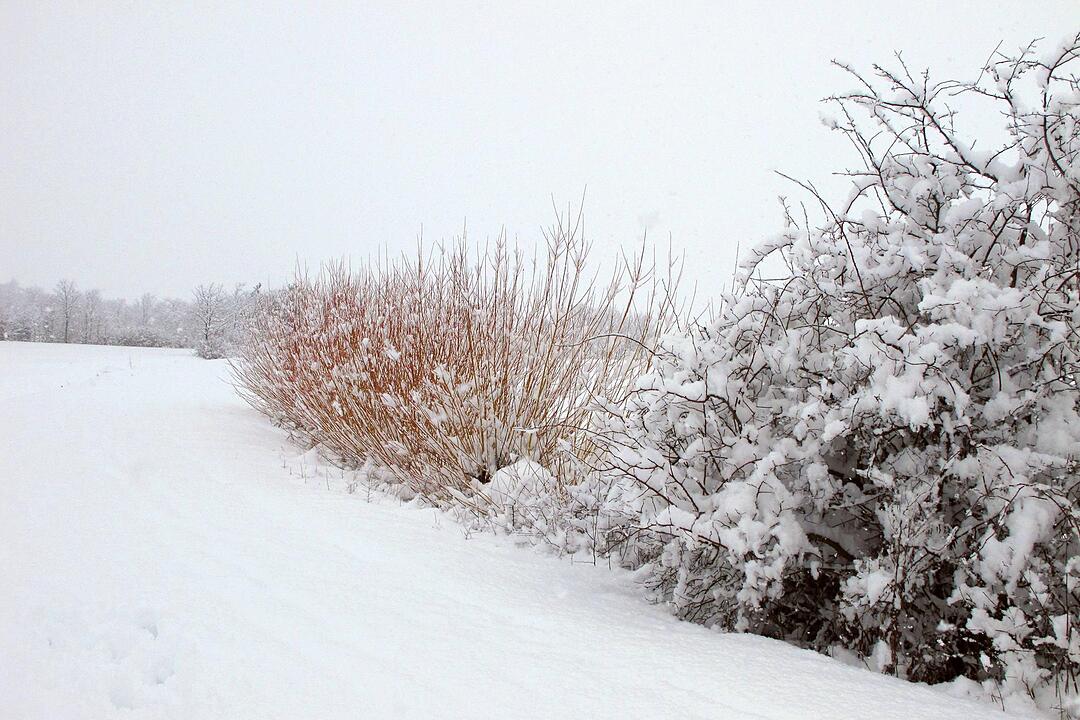 Fotos Konrad Thomann