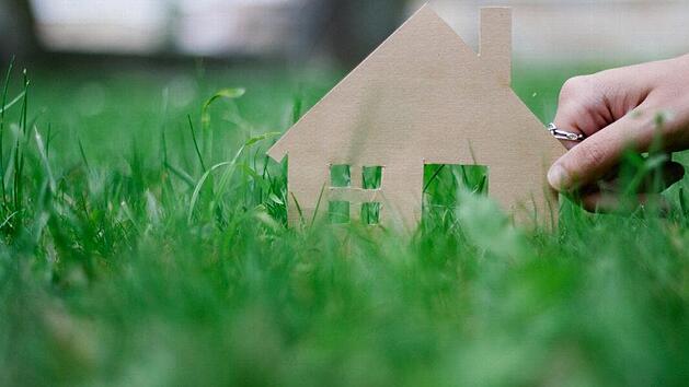 Im Baugebiet "Teuschnitz Aue" sollen als wertvoll erachtete Einzelb&auml;ume an der Nordgrenze stehen bleiben. Symbolbild: Marian Hamacher