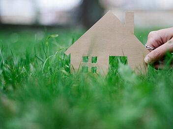 Im Baugebiet "Teuschnitz Aue" sollen als wertvoll erachtete Einzelbäume an der Nordgrenze stehen bleiben. Symbolbild: Marian Hamacher