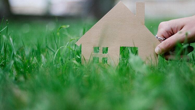 Im Baugebiet "Teuschnitz Aue" sollen als wertvoll erachtete Einzelbäume an der Nordgrenze stehen bleiben. Symbolbild: Marian Hamacher