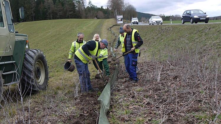 Zwischen Gundelsdorf und Friesen bauen freiwillige Helfer in diesen Tagen einen Schutzzaun für Amphibien auf. So wird verhindert, dass die Tiere die für sie gefährliche Straße überqueren. Foto: Rebecca Vogt