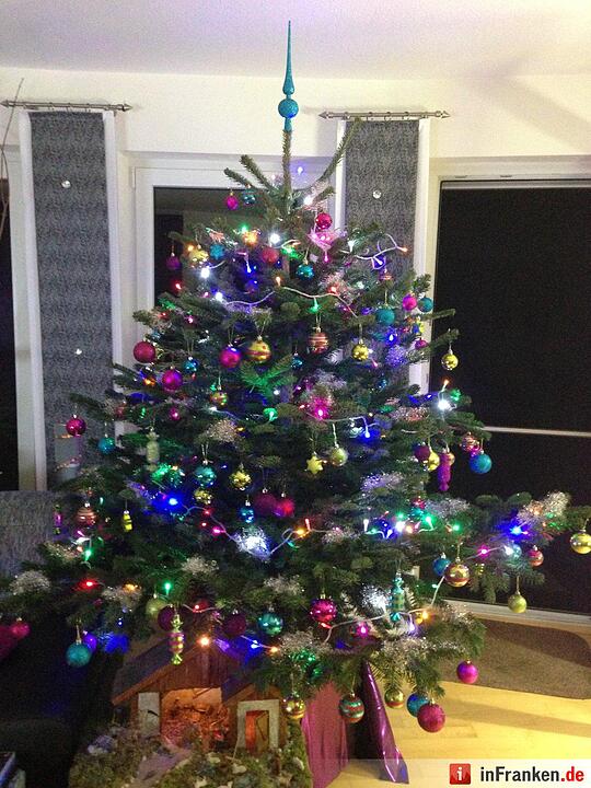 Weihnachten in Franken: Die Christbäume unserer Leser