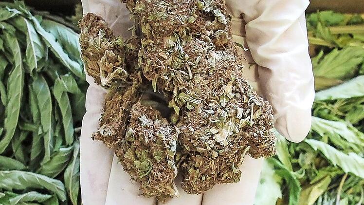 Ein gutes Pfund Marihuana hatte die Polizei bei einem jungen Kulmbacher gefunden. Weil er sein Leben mittlerweile im Griff hat, clean ist und geständig war, kam er vor Gericht noch einmal mit einer Bewährungsstrafe davon. Symbolfoto: Christopher Schulz