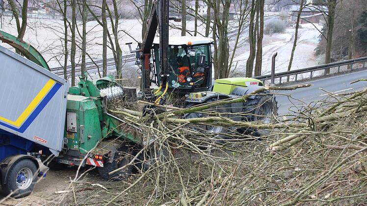 Derzeit laufen Rodungsarbeiten zwischen Kauerndorf und Untersteinach. Foto: Jürgen Gärtner