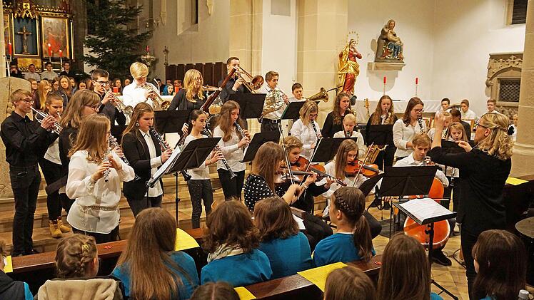 Weder musikalisch noch zahlenmäßig als klein entpuppte sich das "Kleine Orchester" beim FWG-Adventskonzert mit ganz großen Beiträgen. Foto: Matthias Schneider