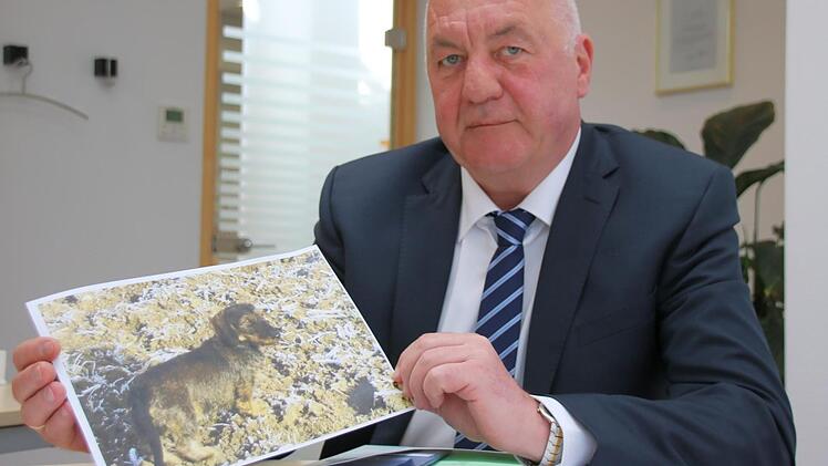 Gerhard Dünisch sucht schon seit mehreren Tagen seinen Rauhaardackel Nelly (auf dem Foto). Die Hündin ist von einer abendlichen Pinkelpause nicht mehr zurückgekehrt. Da die bisherige Suche erfolglos war, hat der Besitzer sogar eine stattliche Belohnung ausgesetzt. Foto: Kathrin Kupka-Hahn