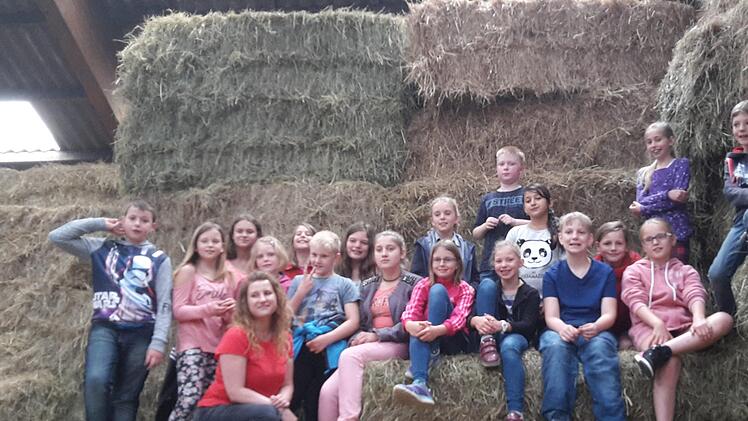 Die Klasse 4b aus Bad Brückenau besuchte den Bauernhof von Familie Jörg. Foto: Isabell Gerr