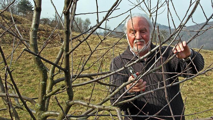 Jupp Schröder kennt sich mit Gehölzen aus und weiß: Einige sollte man besser im Mai und Juni pflanzen.  Foto: Archiv/Tobias Stich
