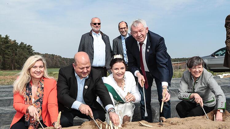 Bei der Eröffnung der Spargelsaison in HirschaidFoto: Matthias Hoch