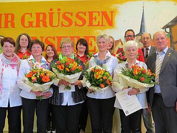 Ehrungen für aktives Singen (hinten, von l. n. r.): Christina Kaiser, Lena Hesselbach, Julia Hesselbach, Karolina Halbig, Sabrina Seufert, Siegfried Gottwald (Gruppenvorsitzender Sängergruppe Bad Kissingen), vorne (v. l.) Vorsitzende Antonia Volkmuth, Sieglinde Büttner, Klara Hesselbach, Anette Stahl, Julie Späth, Paul Kolb (Fränk. Sängerbund)
