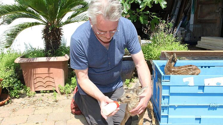 Es schmeckt dem Kleinen. Foto: Wolfgang Desombre