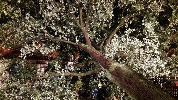An vielen Orten fanden sich entwurzelte B&auml;ume.  Foto: Feuerwehr