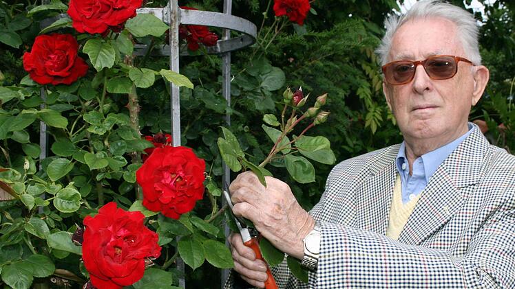 Rosen schneiden ist eine Lieblingsbesch&auml;ftigung von Altb&uuml;rgermeisters Friedrich Ru&szlig;, der   85. Geburtstag feierte.  Foto: Pfannes