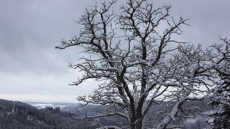 Blick vom alten Schulhaus ins Kronachtal  Foto: Friedwald Schedel
