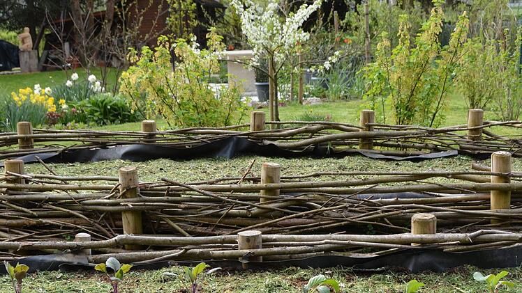 Auch Gemüsepflänzchen im Hochbeet sollten abgedeckt werden. Foto: Dagmar Besand