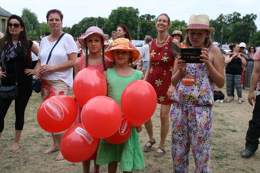 Rakoczy-Fest 2015 Bad Kissingen