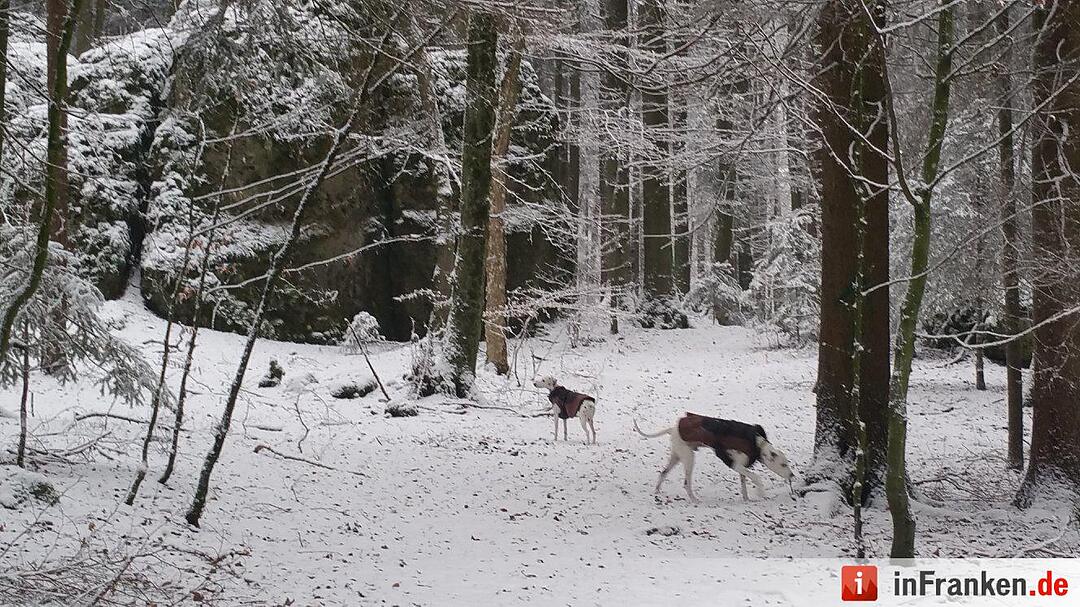 Schnee in Franken Januar 2017 - Leserfotos
