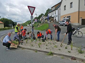 Hier in Streitberg soll es künftig blühen. Foto: Paul Pöhlmann