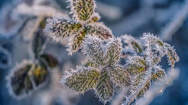 Gewitter, Schauer und Schnee am Wochenende - Kälteeinbruch lässt Bayern nochmal bibbern