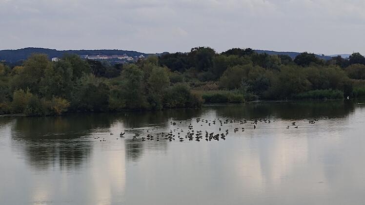 Muhr am See, Wandern, Wanderungen, Spazieren, Wanderstrecke