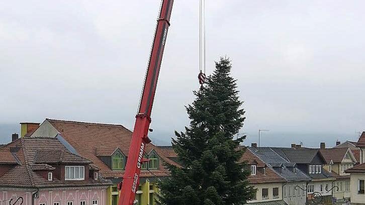 Alljährliches Schauspiel: die Aufstellung des Neustadter Weihnachtsbaumes. Fast 18 Meter hoch ist die aus Haarbrücken stammende Edel-Tanne, die seit gestern auf dem Markt steht. Foto: Berthold Köhler