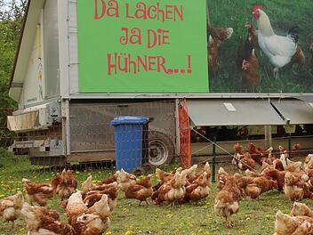 Das Hühnermobil ist ein fahrbarer Hühnerstall. Foto: Katrin Geyer