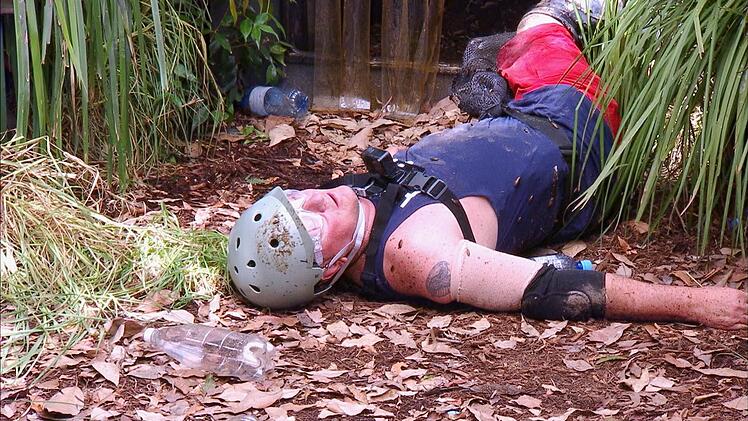 Hubert Fella f&auml;llt nach seiner Dschungelpr&uuml;fung (zwei Sterne) ersch&ouml;pft zu Boden.